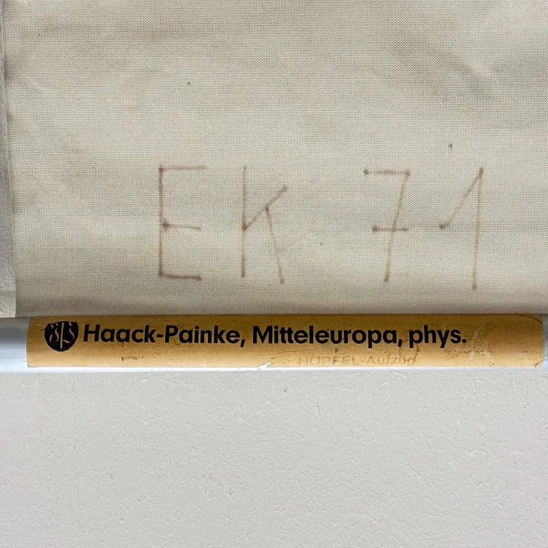 Vintage Schulkarte – Mitteleuropa – Geschichte Geografie Lehrtafel Haack Painke Rollbild Gebraucht