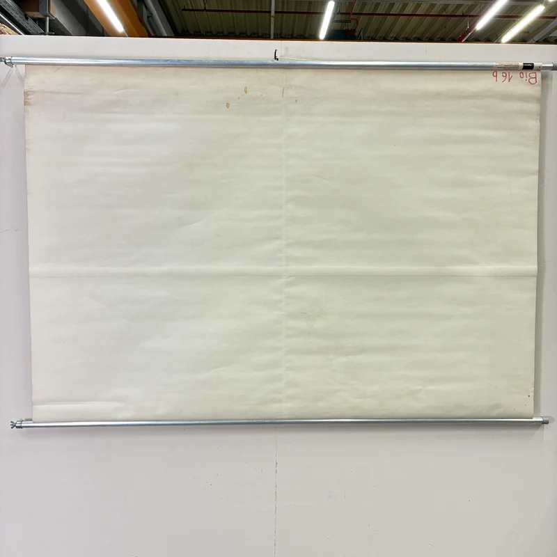 Vintage Schulkarte – Atmung & Blutkreislauf – Hagemann Biologie Medizin Lehrtafel Rollbild Gebraucht