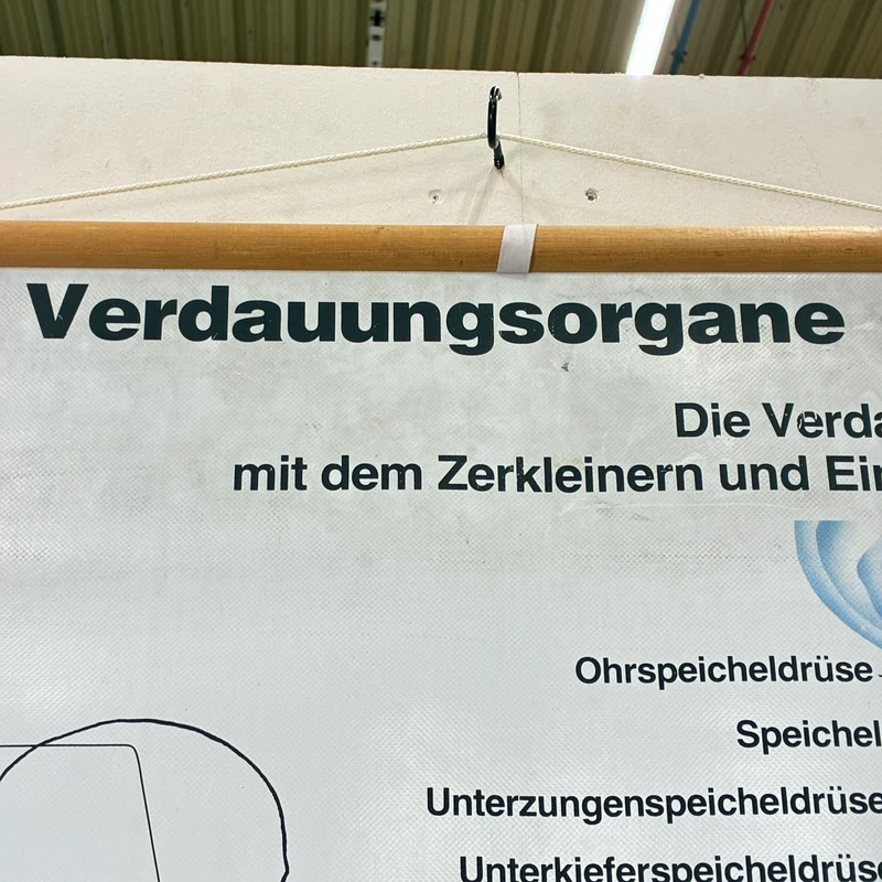 Vintage Schulkarte – Verdauungskarte Übungskarte – Biologie Medizin Lehrtafel Rollbild Gebraucht
