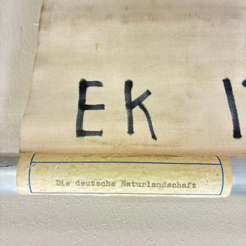 Vintage Schulkarte – Die Deutsche Naturlandschaft – Geografie Erdkunde Lehrtafel Rollbild Gebraucht