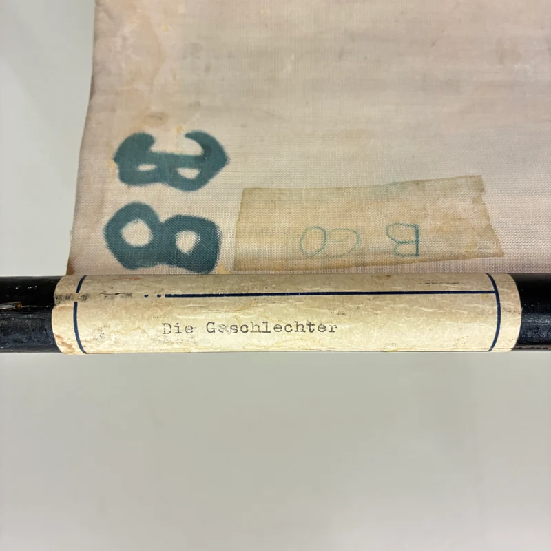 Vintage Schulkarte – Die Geschlechter – Biologie Medizin Lehrtafel Rollbild Gebraucht