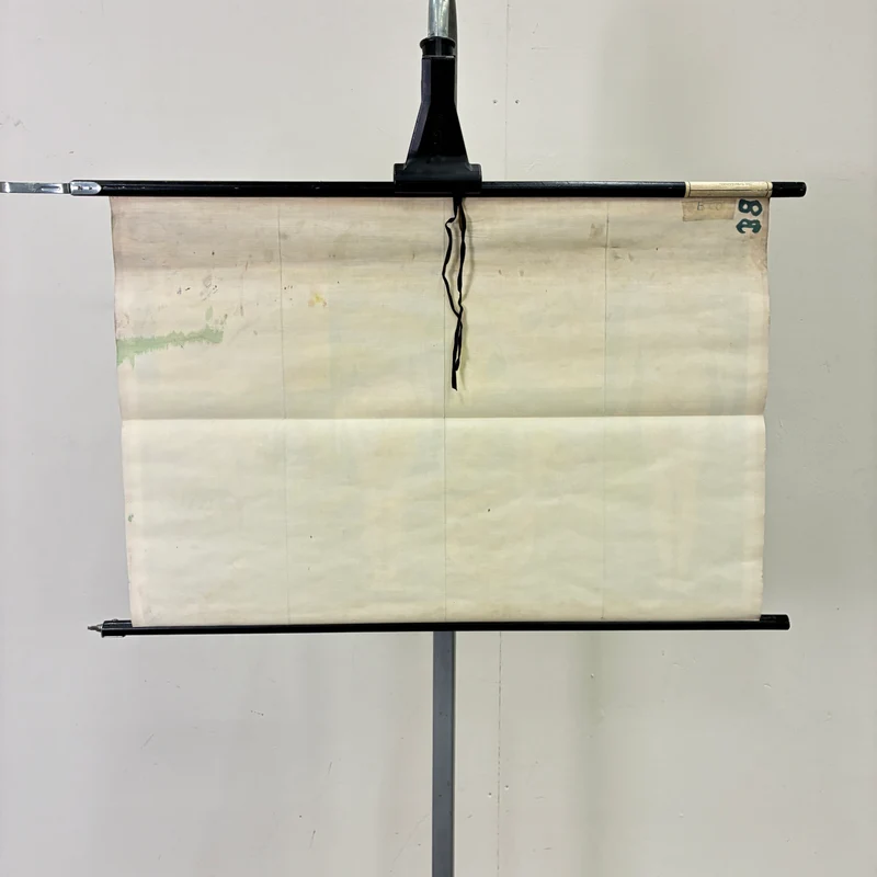 Vintage Schulkarte – Die Geschlechter – Biologie Medizin Lehrtafel Rollbild Gebraucht