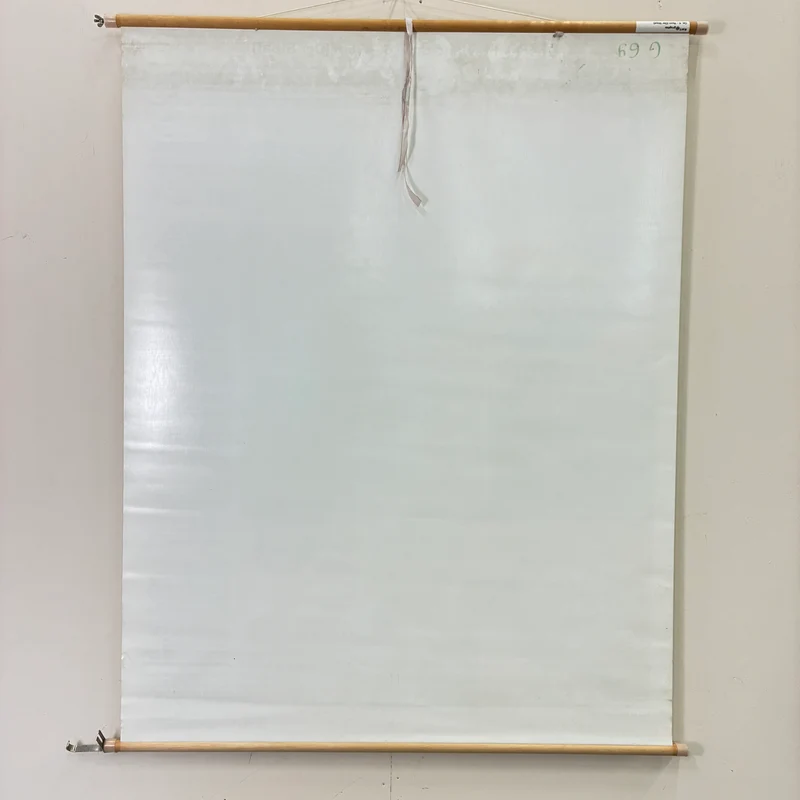 Vintage Schulkarte – Rom der Staat – Geschichte Lehrtafel Rollbild Gebraucht