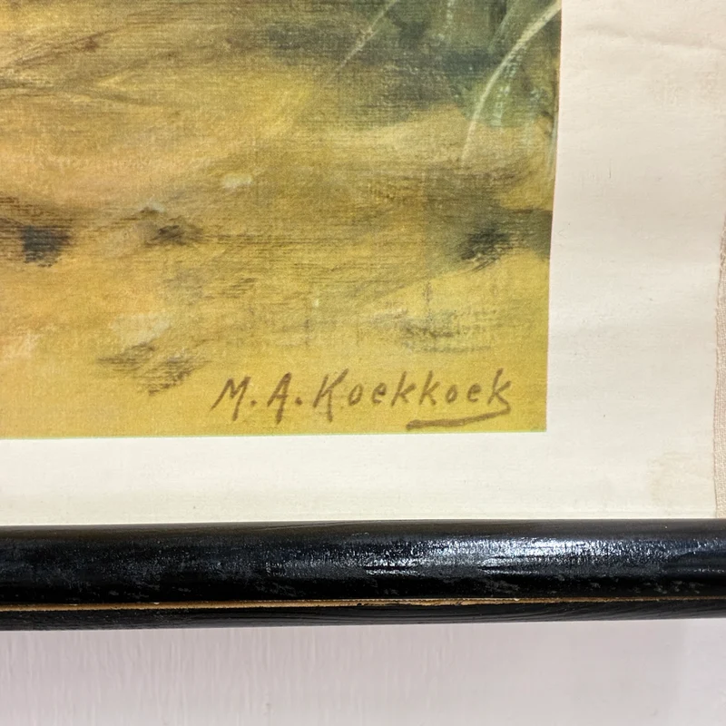 Vintage Schulwandkarte – Süßwasserfische Hecht & Flussbarsch – Biologie Lehrtafel Rollbild Gebraucht