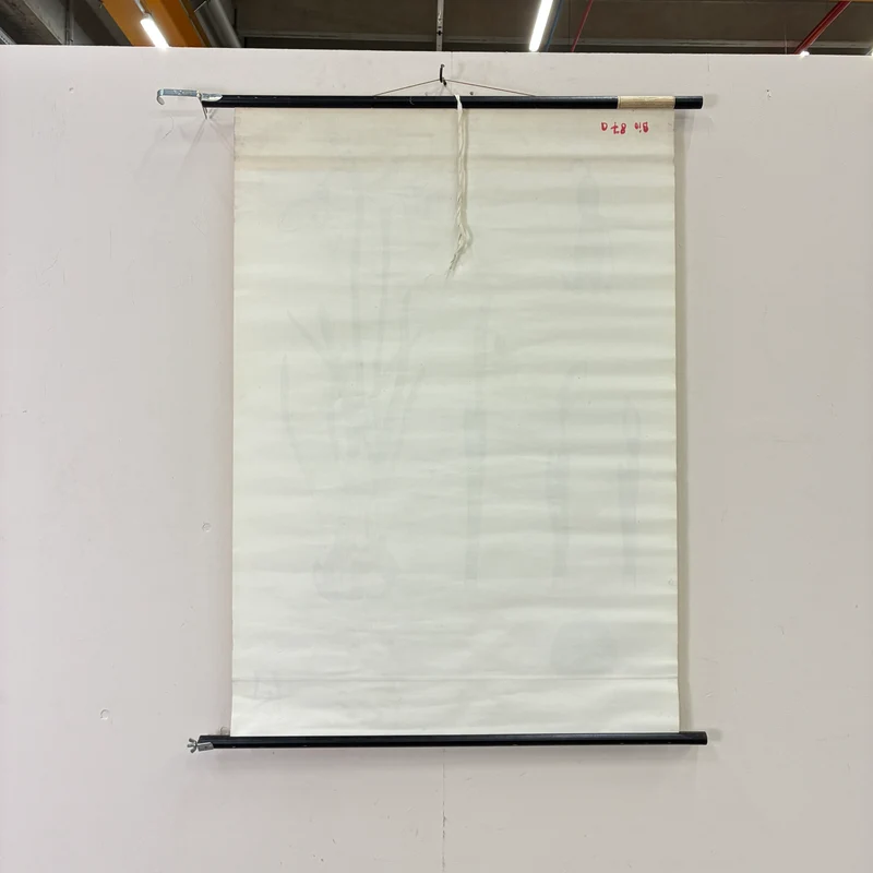 Vintage Schulkarte – Das Schneeglöckchen – Biologie Botanik Lehrtafel Rollbild Gebraucht