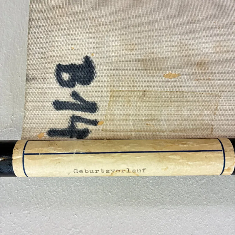 Vintage Schulkarte – Geburtsverlauf – Biologie Lehrtafel Rollbild Gebraucht