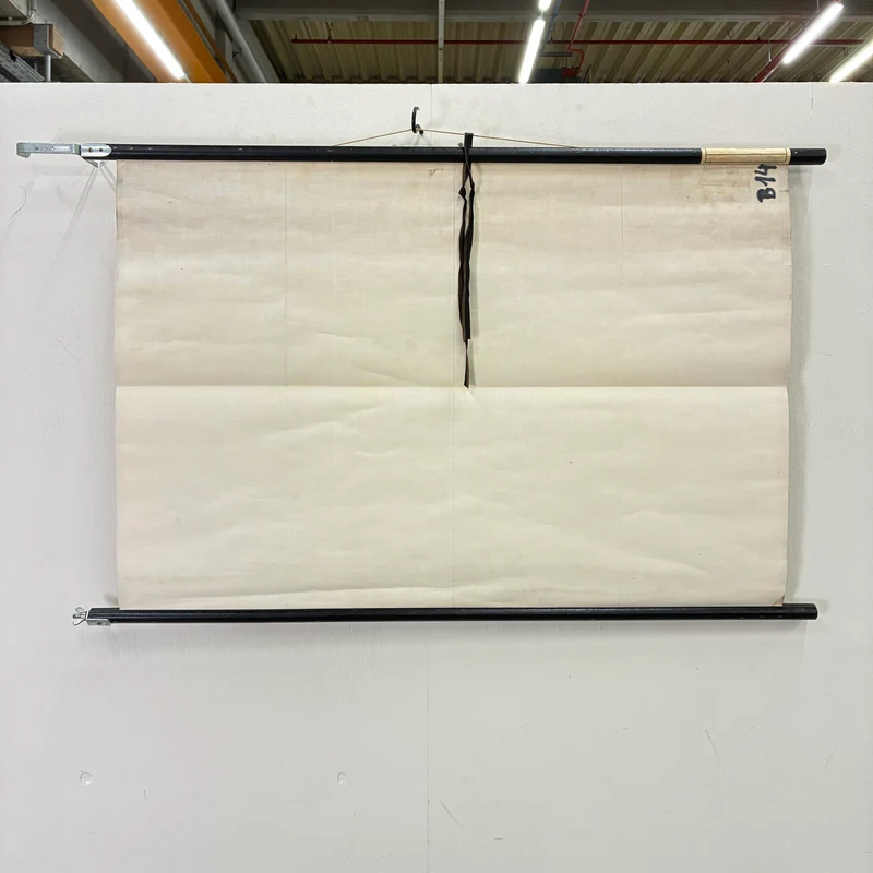 Vintage Schulkarte – Geburtsverlauf – Biologie Lehrtafel Rollbild Gebraucht