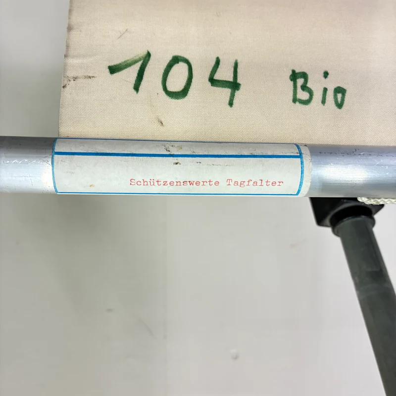 Vintage Schulkarte – Schützenswerte Tagfalter – Biologie Lehrtafel Rollbild Gebraucht