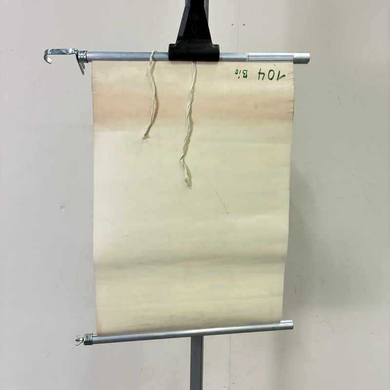 Vintage Schulkarte – Schützenswerte Tagfalter – Biologie Lehrtafel Rollbild Gebraucht