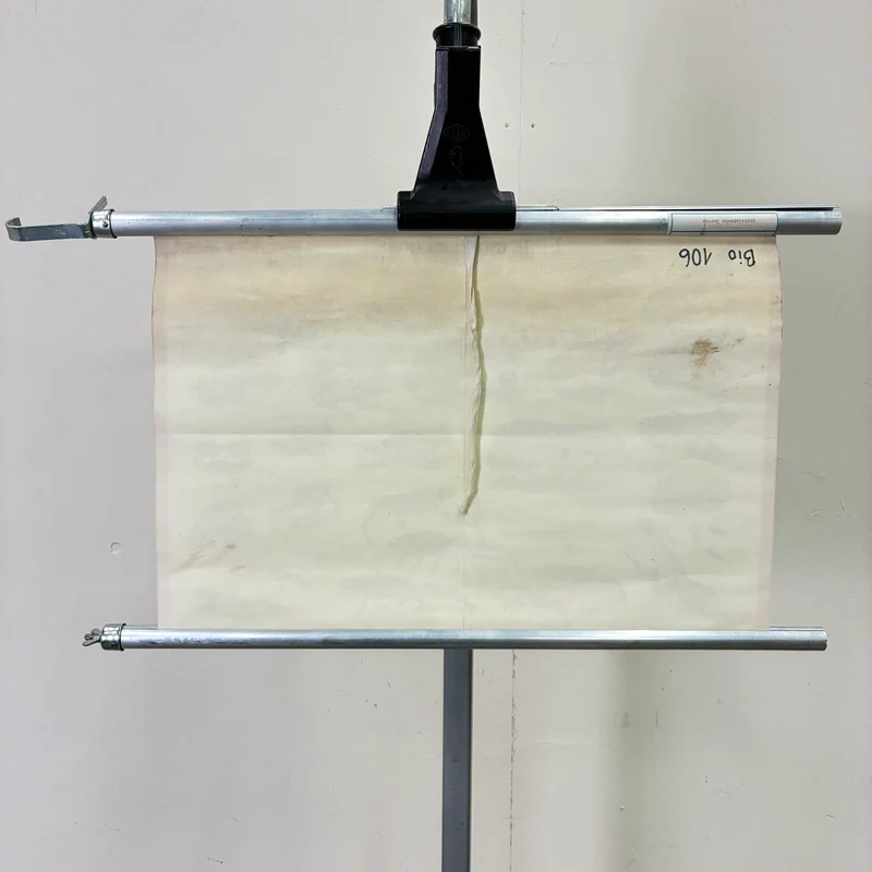 Vintage Schulkarte – Einheimische Lurche – Biologie Lehrtafel Rollbild Gebraucht