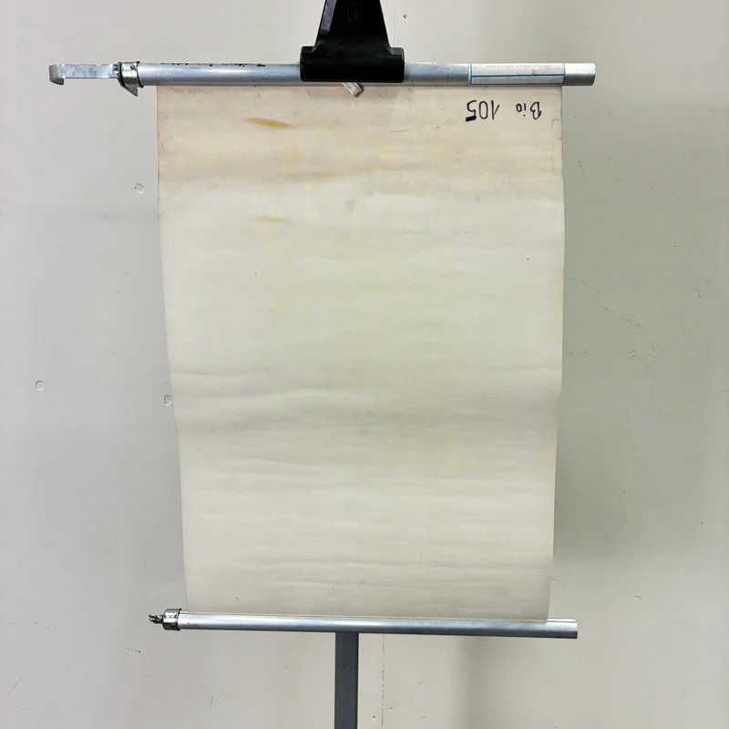 Vintage Schulkarte – Schützenswerte Kriechtiere – Biologie Lehrtafel Rollbild Gebraucht