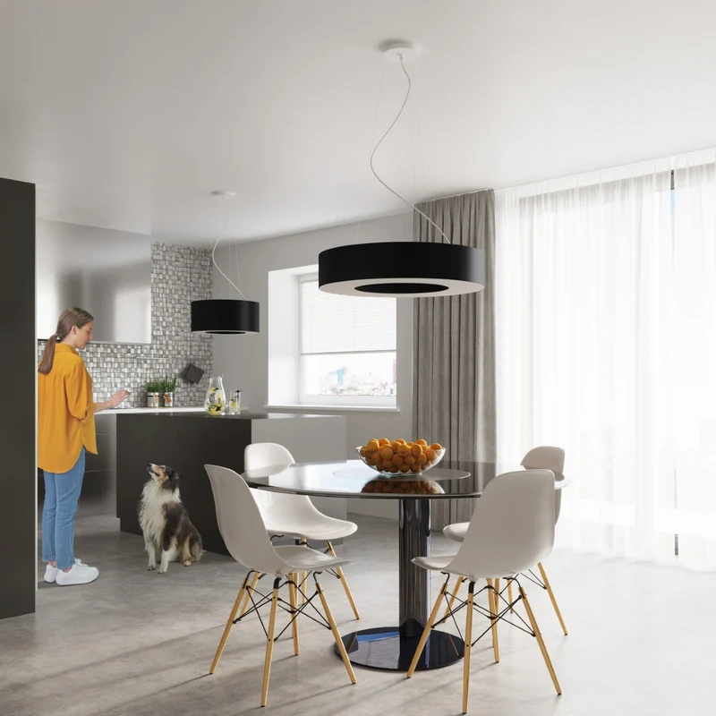 Minimalistische runde schwarze Deckenleuchte für das Wohnzimmer – Noxeral