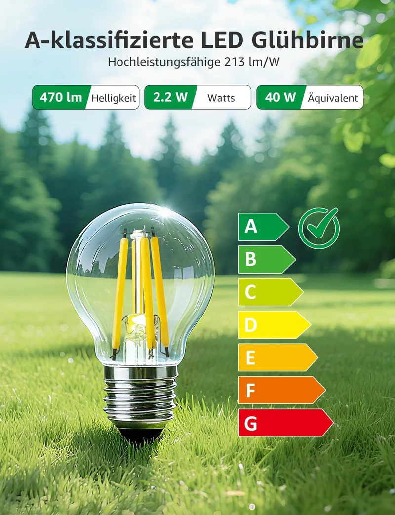 Lepro Energieklasse A E27 LED Warmweiss, 2.2W 470 Lumen Glühbirne E27, Nicht Dimmbar, G45 Led Birne, 2700 Kelvin Warmweiß, 300° Abstrahlwinkel Energiesparlampe, ersetzt 40W Leuchtmittel, 2 Stück