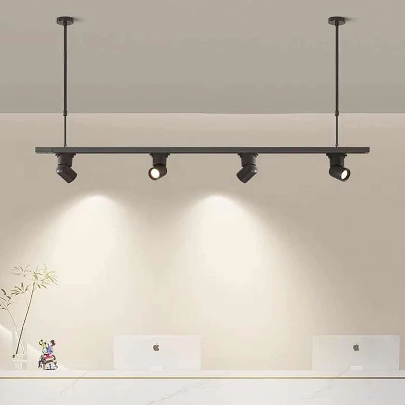 Pendant Light LED Track Spotlight, Black / White
