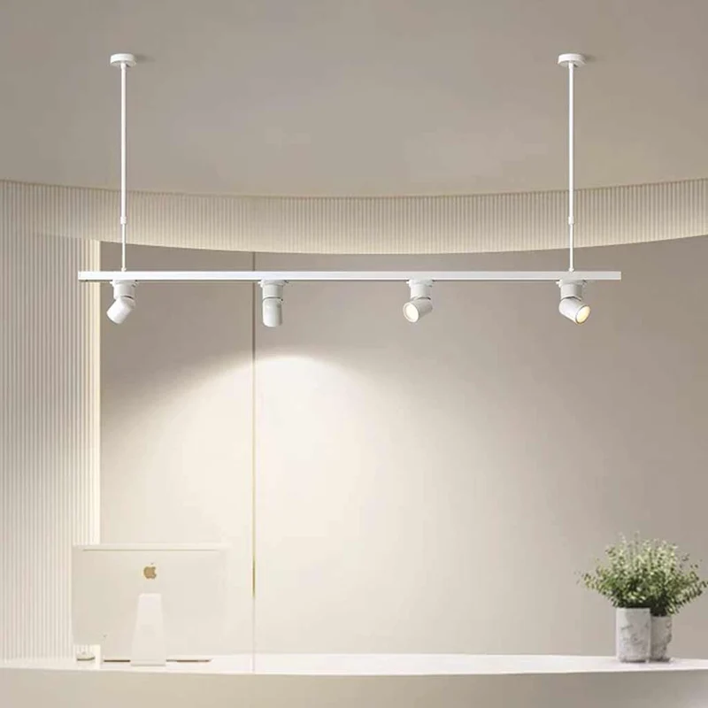 Pendant Light LED Track Spotlight, Black / White