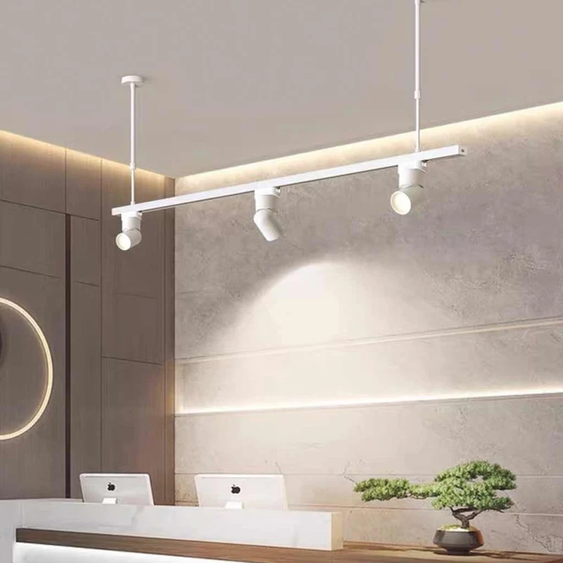 Pendant Light LED Track Spotlight, Black / White