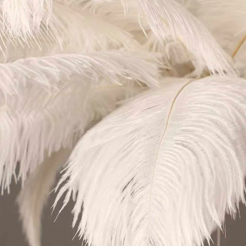 Chandelier Ceiling Light Ostrich Feather, White