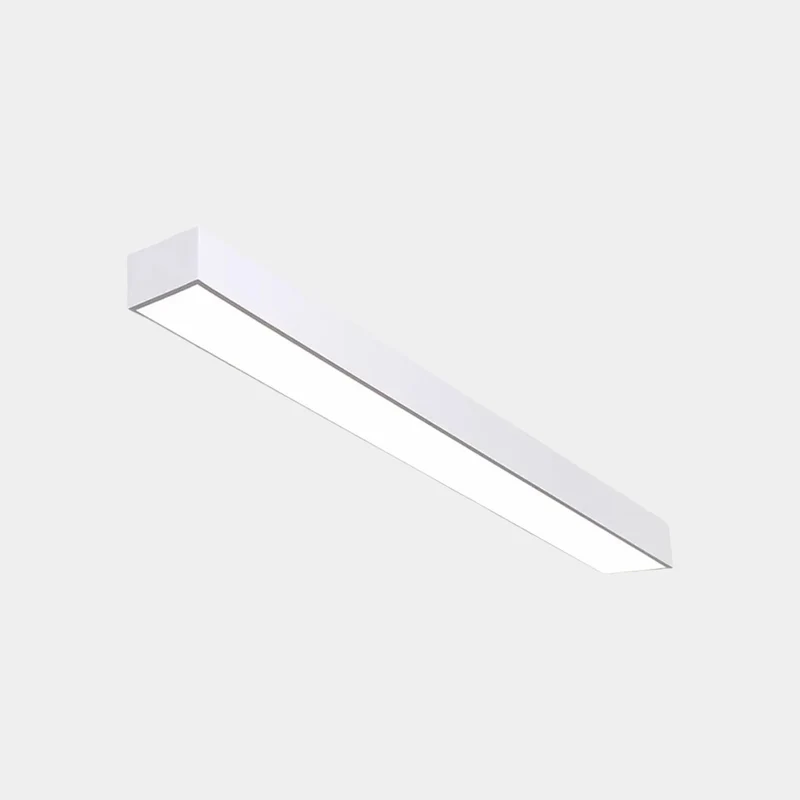 Ceiling Light Modern Linear Flush Mount Office LED, Black/White