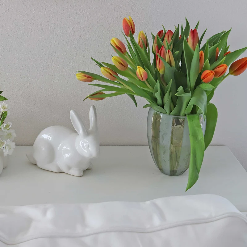Weißer Hase Felix