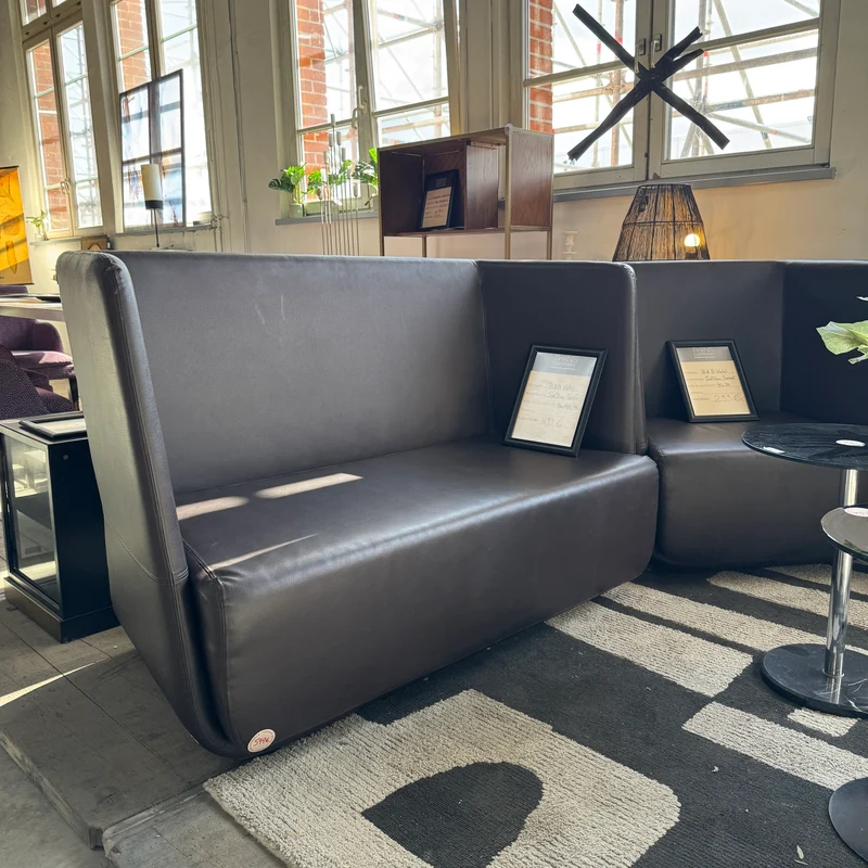 Softline Basket Sofa 2-Sitzer Dunkelbraun Leder Design Couch Gebraucht