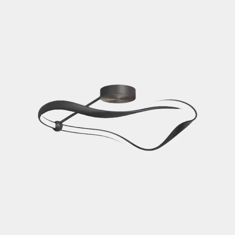 Ceiling Light Modern Minimalist Metal Dimmable LED, Black / White