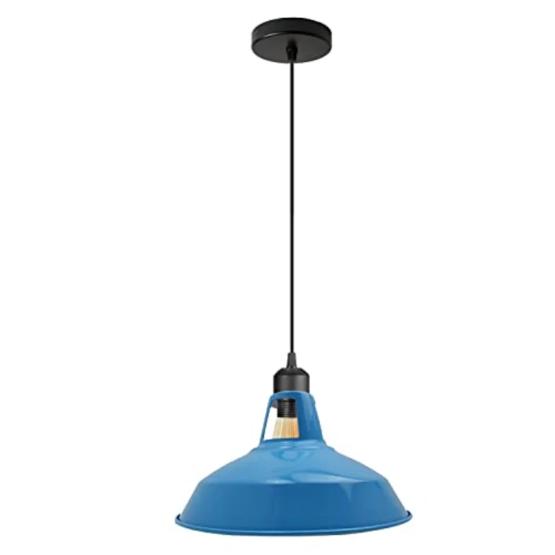 Retro Industrial Pendelleuchte mit 30cm Metall-Schirm ~3567