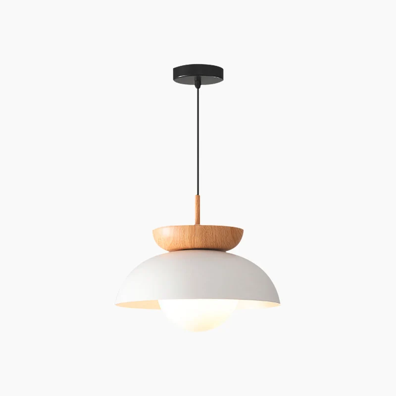 Pendant / Flush Mount Ceiling Light Minimalist Iron Dome, Black / White