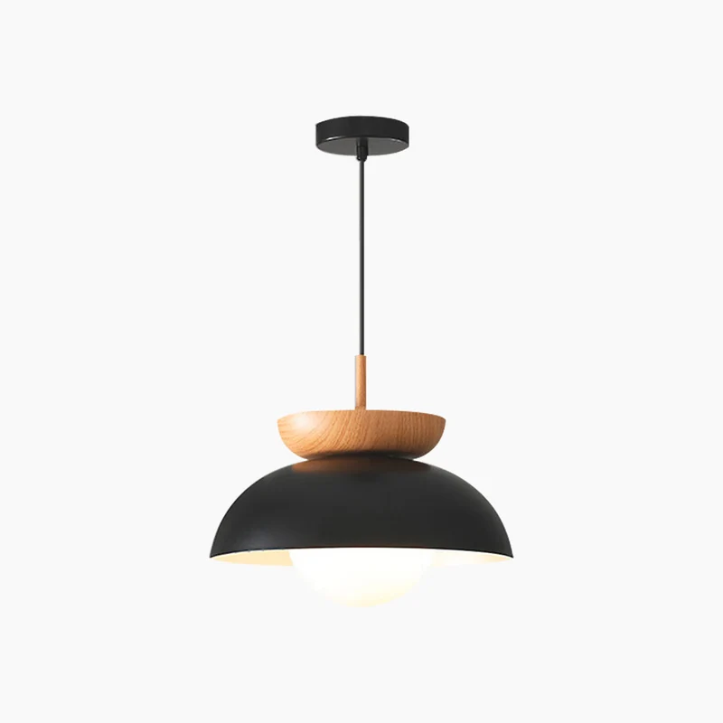 Pendant / Flush Mount Ceiling Light Minimalist Iron Dome, Black / White