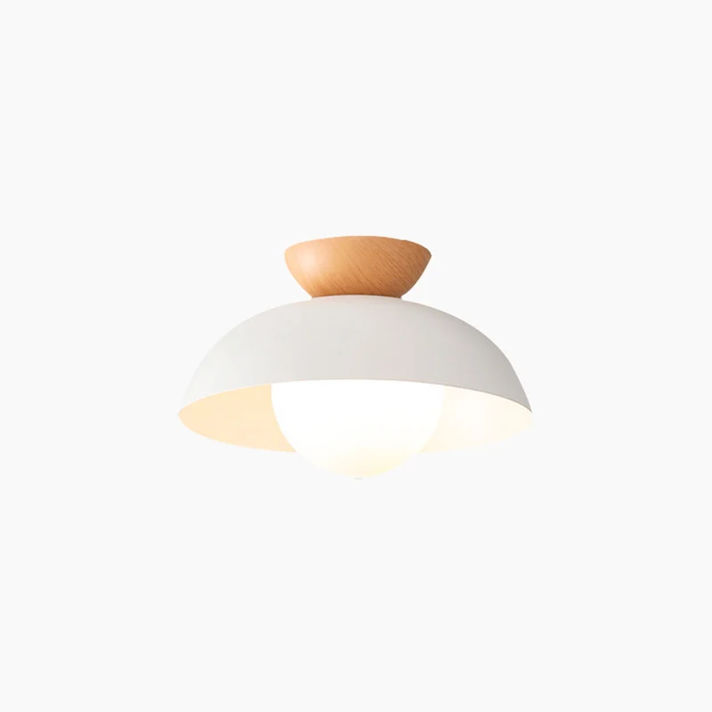 Pendant / Flush Mount Ceiling Light Minimalist Iron Dome, Black / White