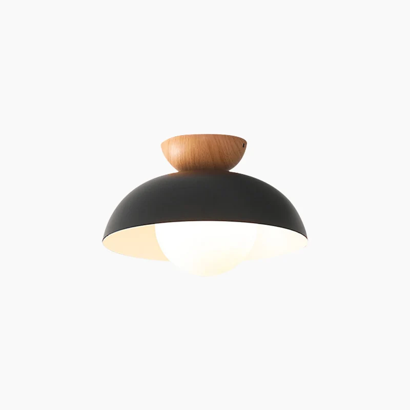Pendant / Flush Mount Ceiling Light Minimalist Iron Dome, Black / White