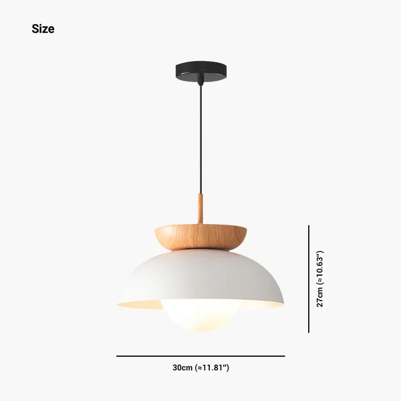 Pendant / Flush Mount Ceiling Light Minimalist Iron Dome, Black / White