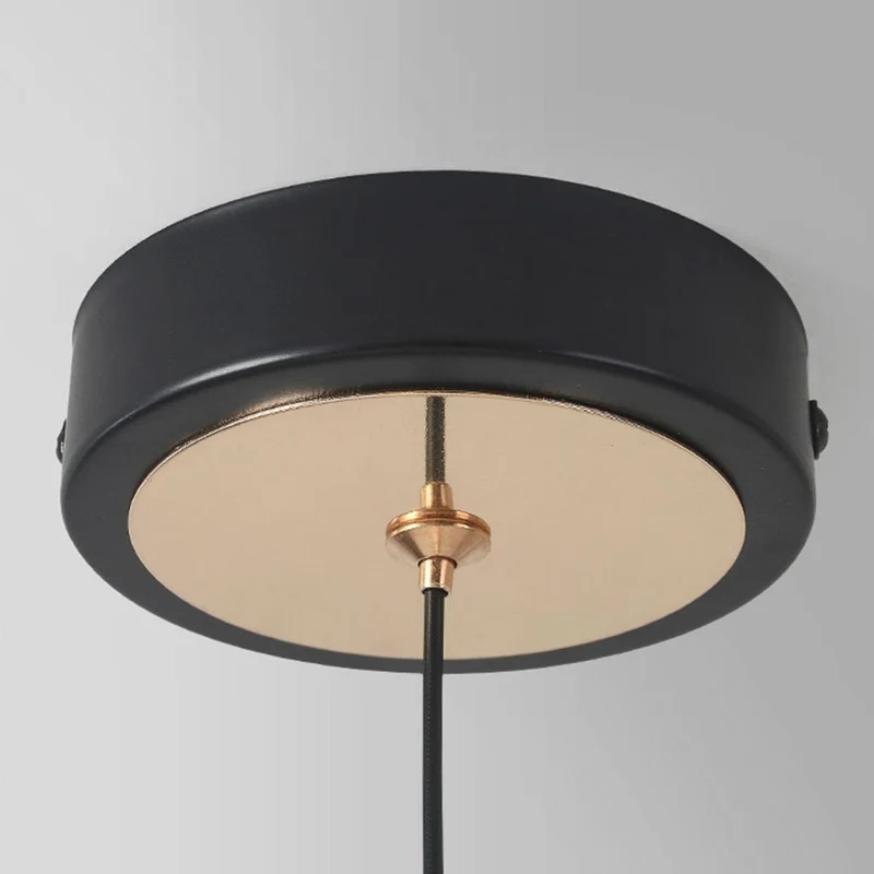 Pendant Light Unique Circular / Oval Magpie Bird LED