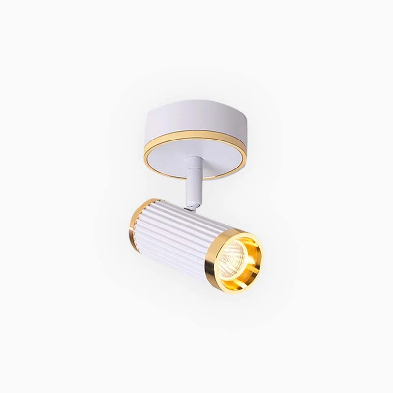 Ceiling / Wall Spotlight Fashion Adjustable LED, White