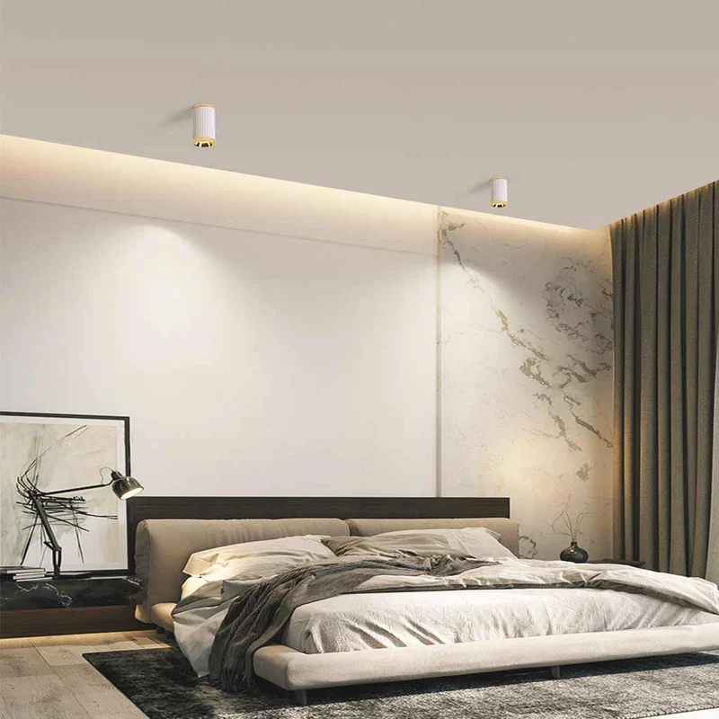 Ceiling Downlight Spotlight Simple Small White Cylinder LED