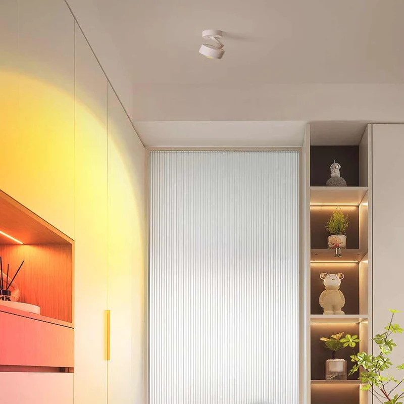 Ceiling / Wall Light Spotlight Sunset Ambient Adjustable LED, Black / White