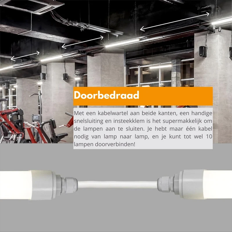 LED's Light LED TL Lampe komplett 120 cm - Bis zu 10 Lampen anschließbar - Wasserdicht - IP65