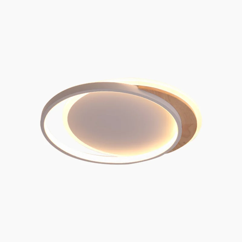Ceiling Light Flush Mount Modern Chic Dimmable, Round/Square