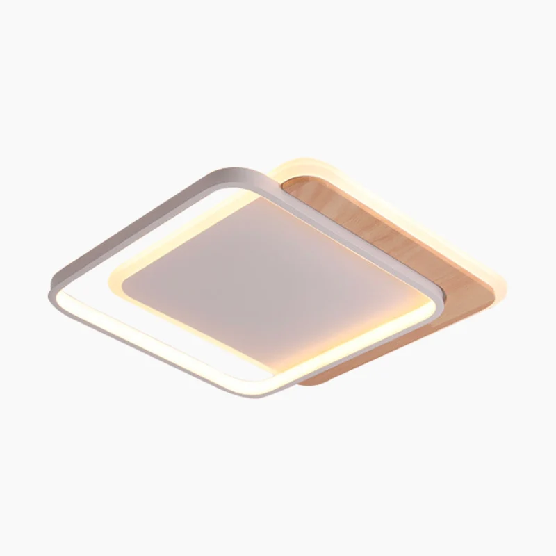 Ceiling Light Flush Mount Modern Chic Dimmable, Round/Square