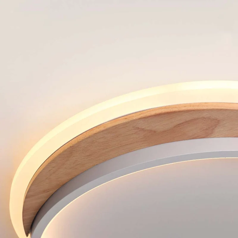 Ceiling Light Flush Mount Modern Chic Dimmable, Round/Square