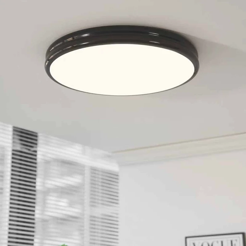 Ceiling Light Flush Mount Modern Minimalist Round LED Full Spectrum, 2 Colors