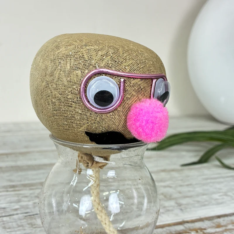 Graskopf Im Glas Rosa 12cm Gesicht Pflanze Pflanz-Set Grasgesicht Deko