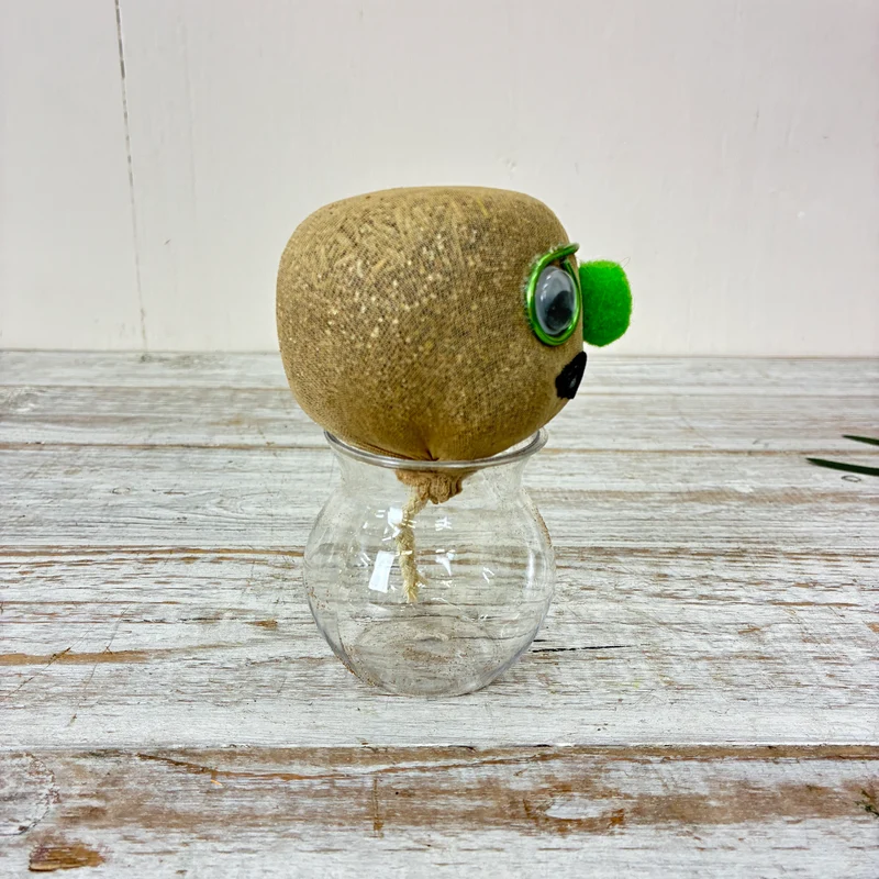 Graskopf Im Glas Grün 12cm Gesicht Pflanze Pflanz-Set Grasgesicht Deko