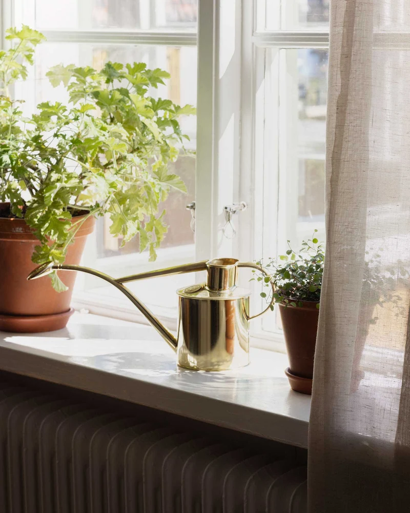 Vattenkanna inomhus - Mässing 1 L