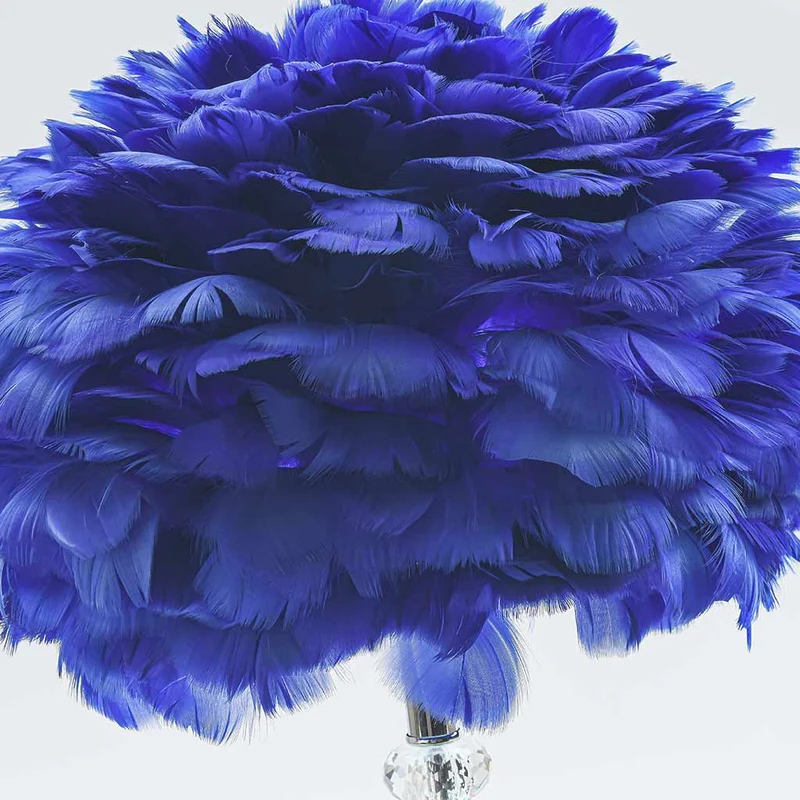 Feather Table Lamp Romantic Diamond Crystal, Pink/Blue