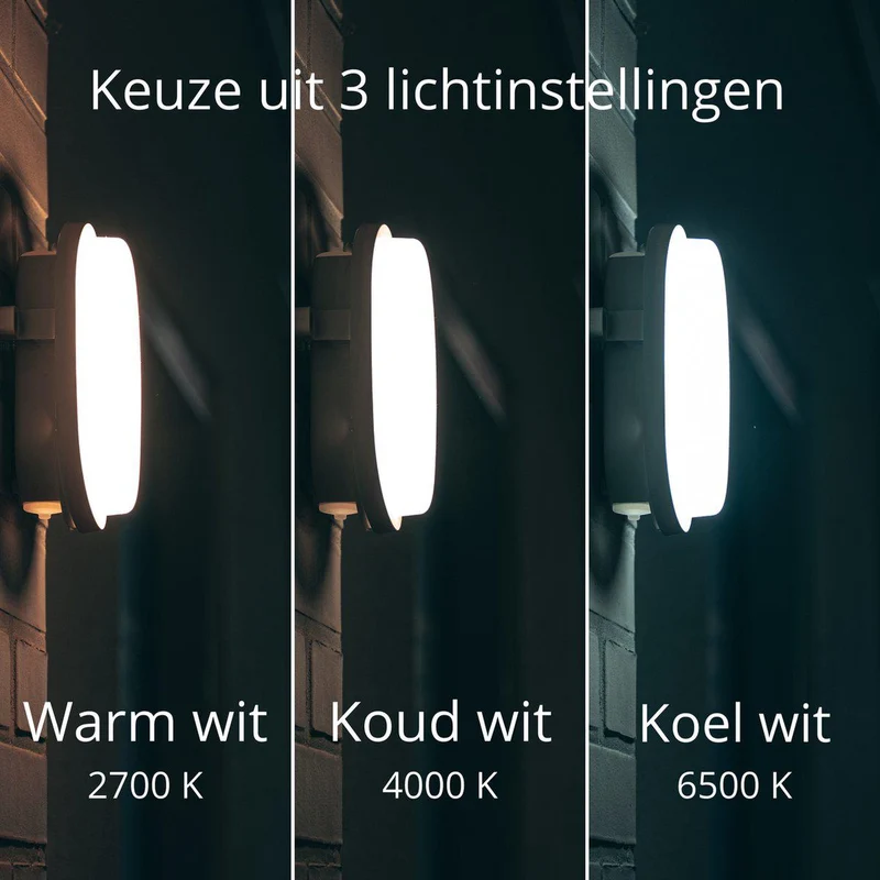 Ovalleuchte 9W CCT Leistungswahl IP65 IK10 3xKabeleinlass - LED's Light Pro