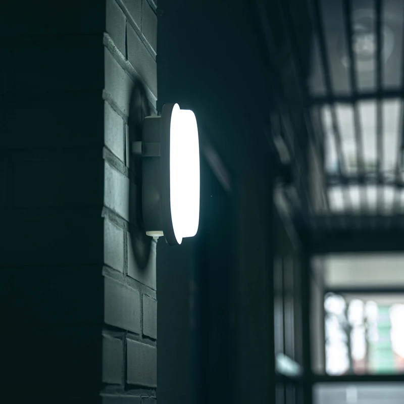 Ovalleuchte 9W CCT Leistungswahl IP65 IK10 3xKabeleinlass - LED's Light Pro