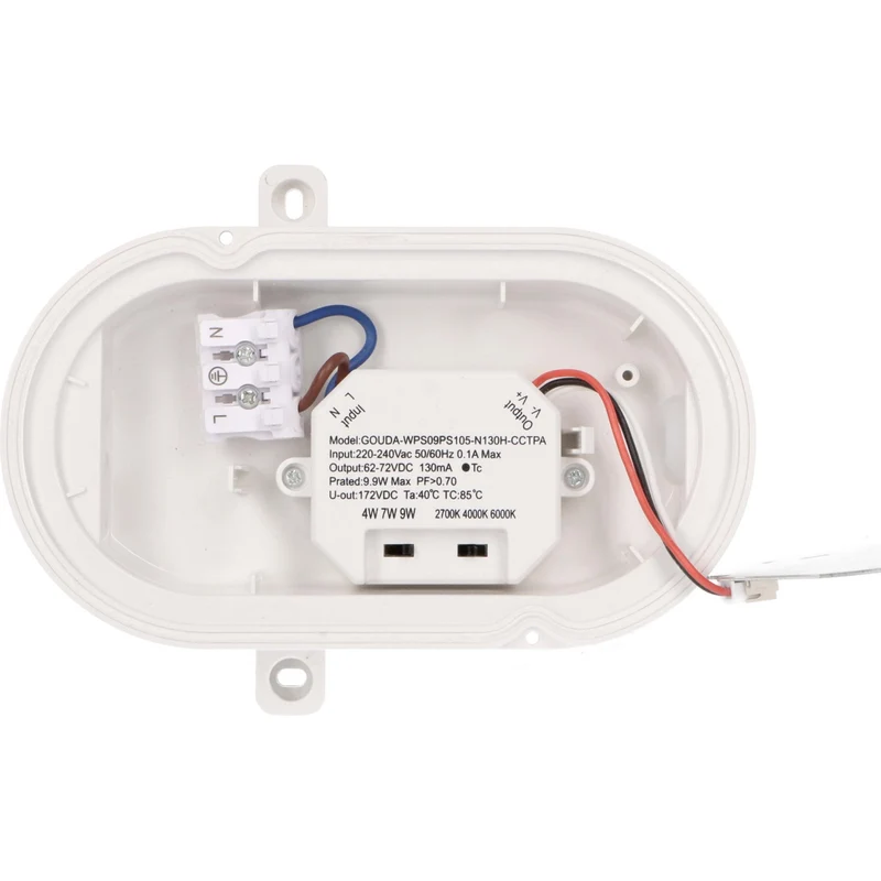 Ovalleuchte 9W CCT Leistungswahl IP65 IK10 3xKabeleinlass - LED's Light Pro
