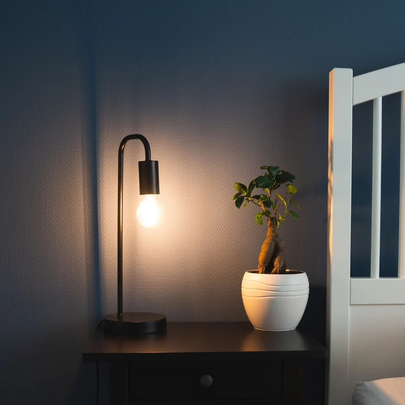 LED-Filament-Leuchtmittel Birne | dimmbar | E27 | 7 Watt (ersetzt 60 Watt) | 806 Lumen | 2.700 K warmweiß | 360° Abstrahlwinkel | Form A60 | Glas klar | Glühfaden | Retrofit | Fadenglühbirne - LED's Light