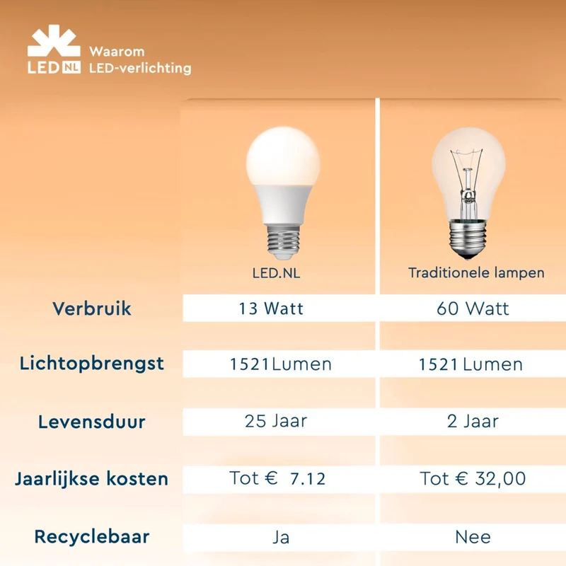 LED Glühbirne E27 13W warmweiß Opal A60 - LED's Light