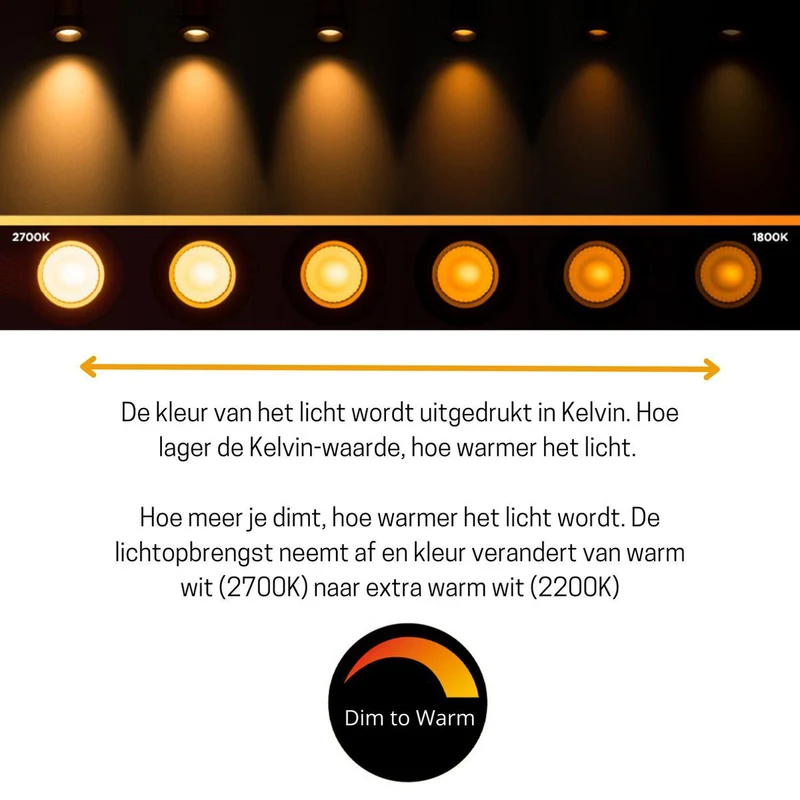 LED Kugel E14 dimmbar 5,5W Dim2warm Opal G45 - LED's Light